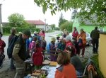 Na startu
